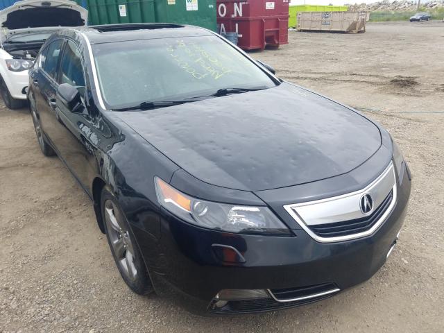 ACURA TL 2014 19uua9f71ea801028