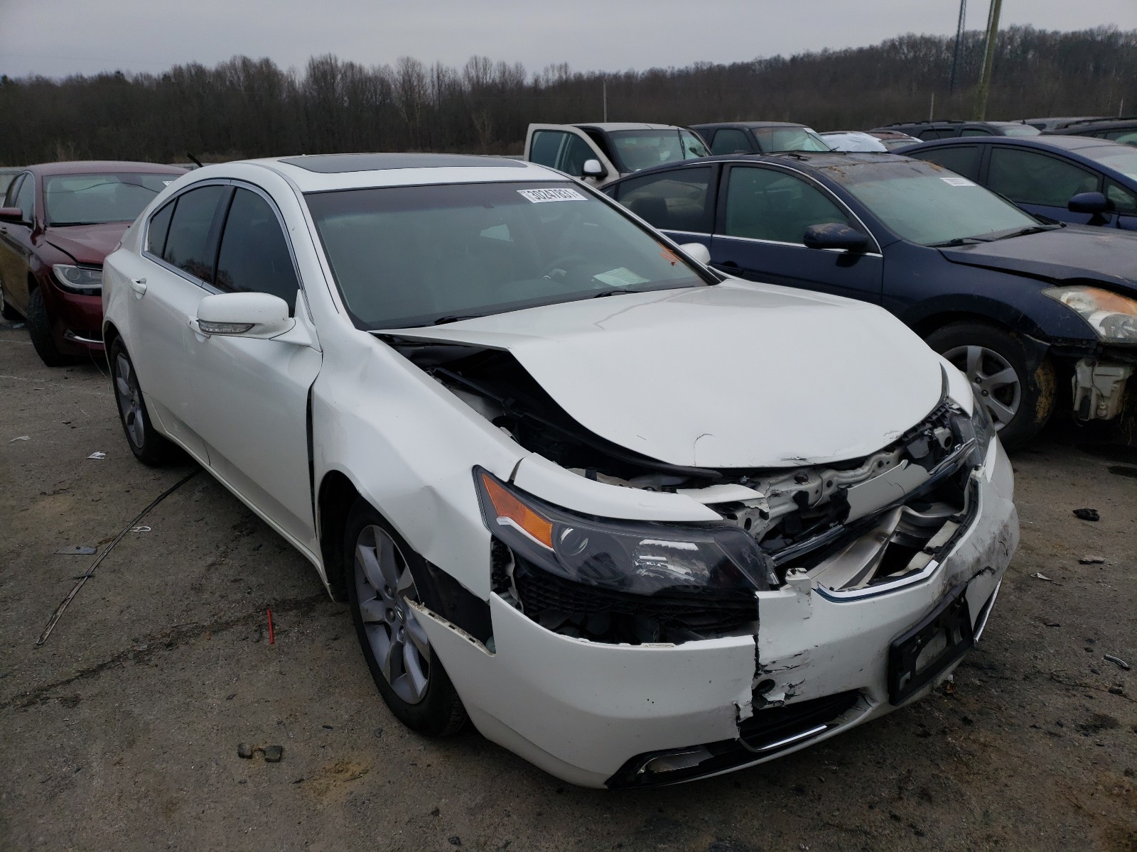 ACURA TL ADVANCE 2014 19uua9f75ea001137