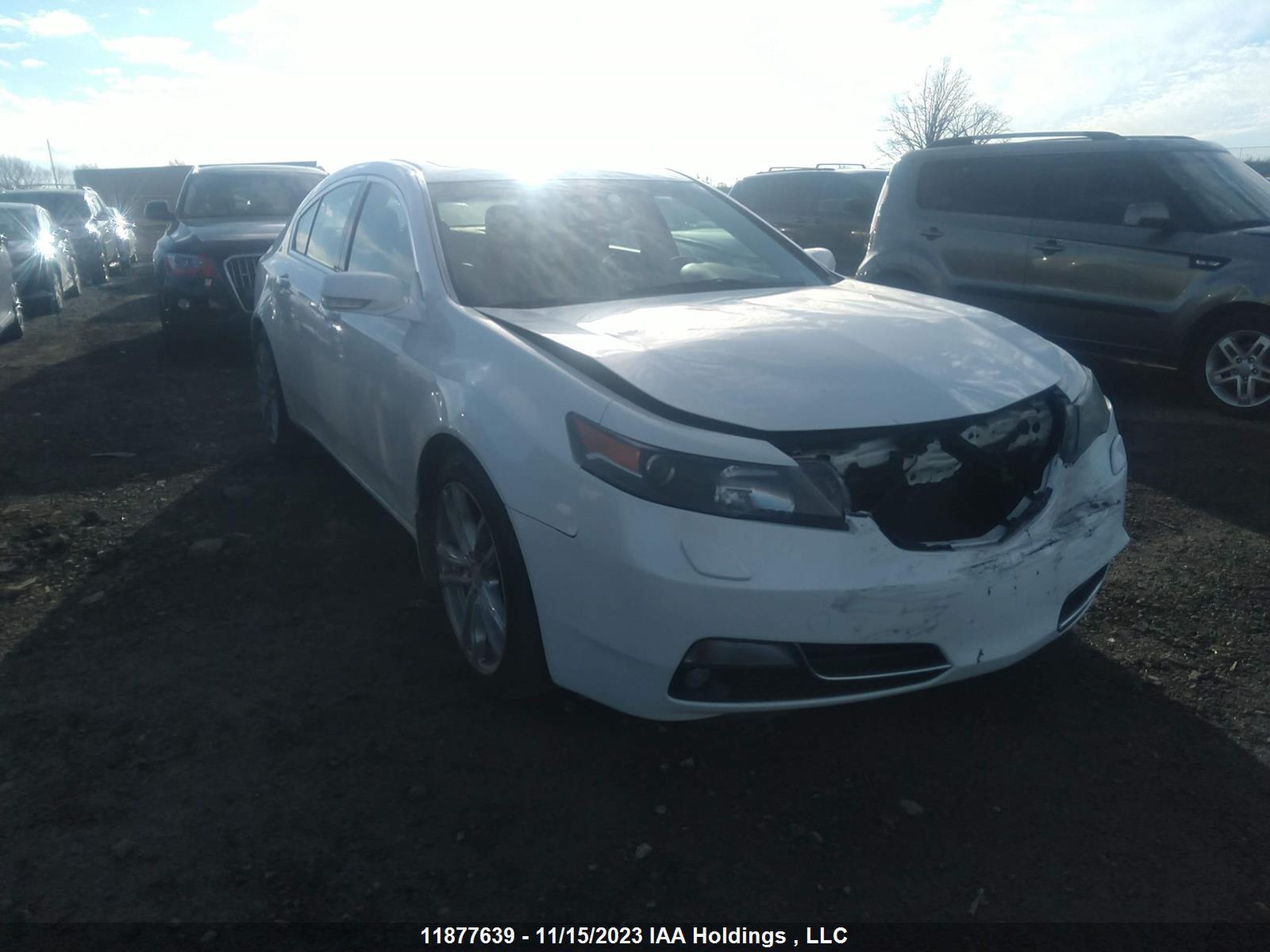 ACURA TL 2013 19uua9f77da800593