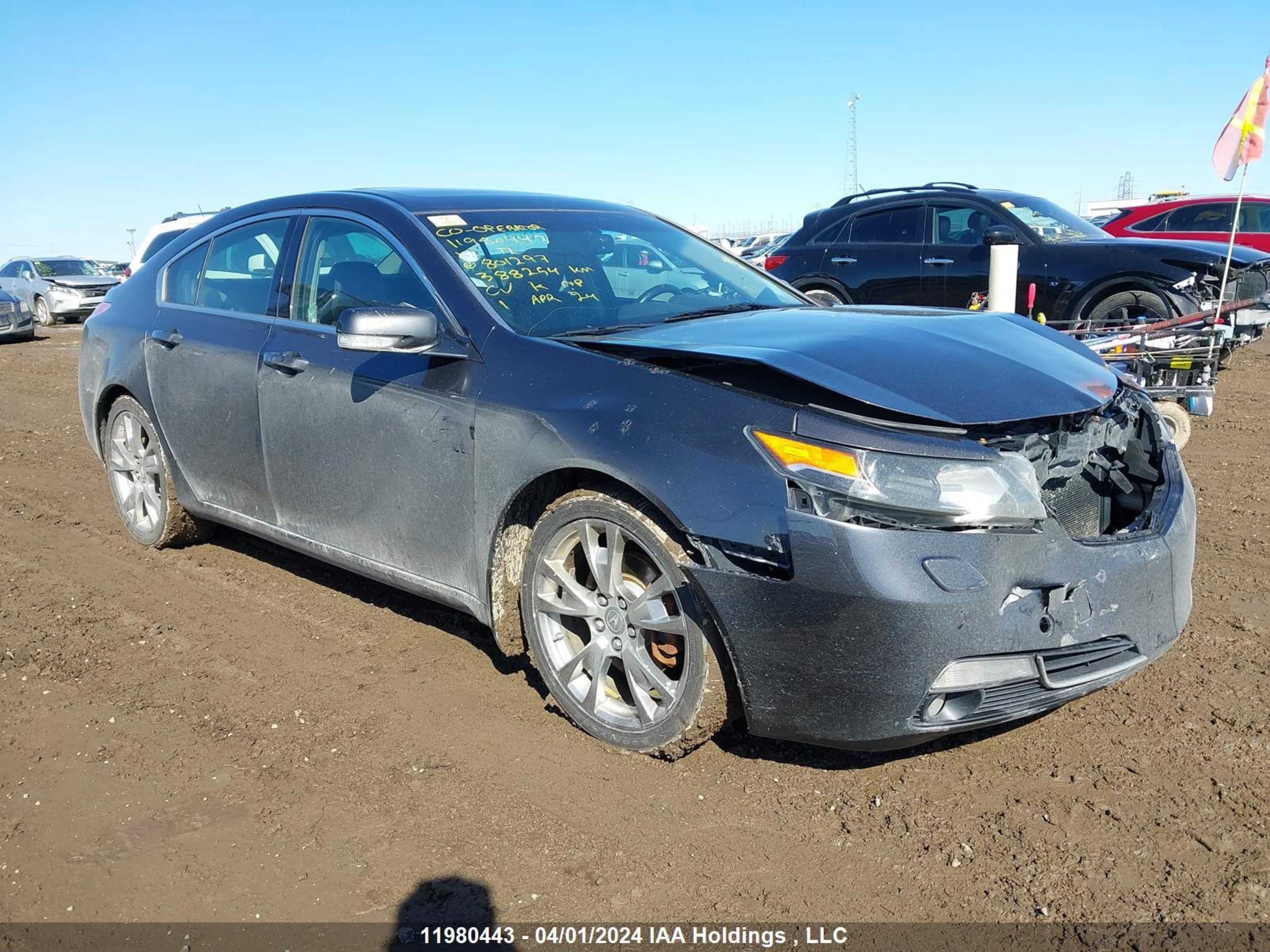 ACURA TL 2012 19uua9f7xca801297