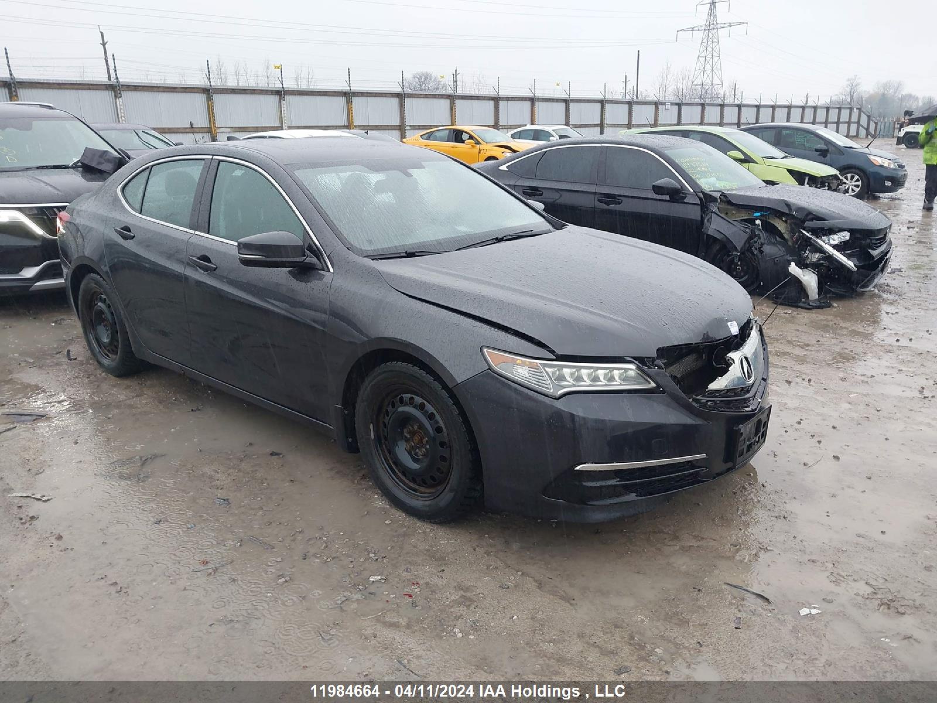 ACURA TLX 2015 19uub1f30fa800756