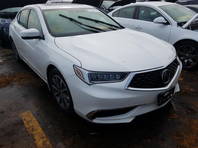 ACURA TLX TECHNO 2019 19uub1f50ka008201