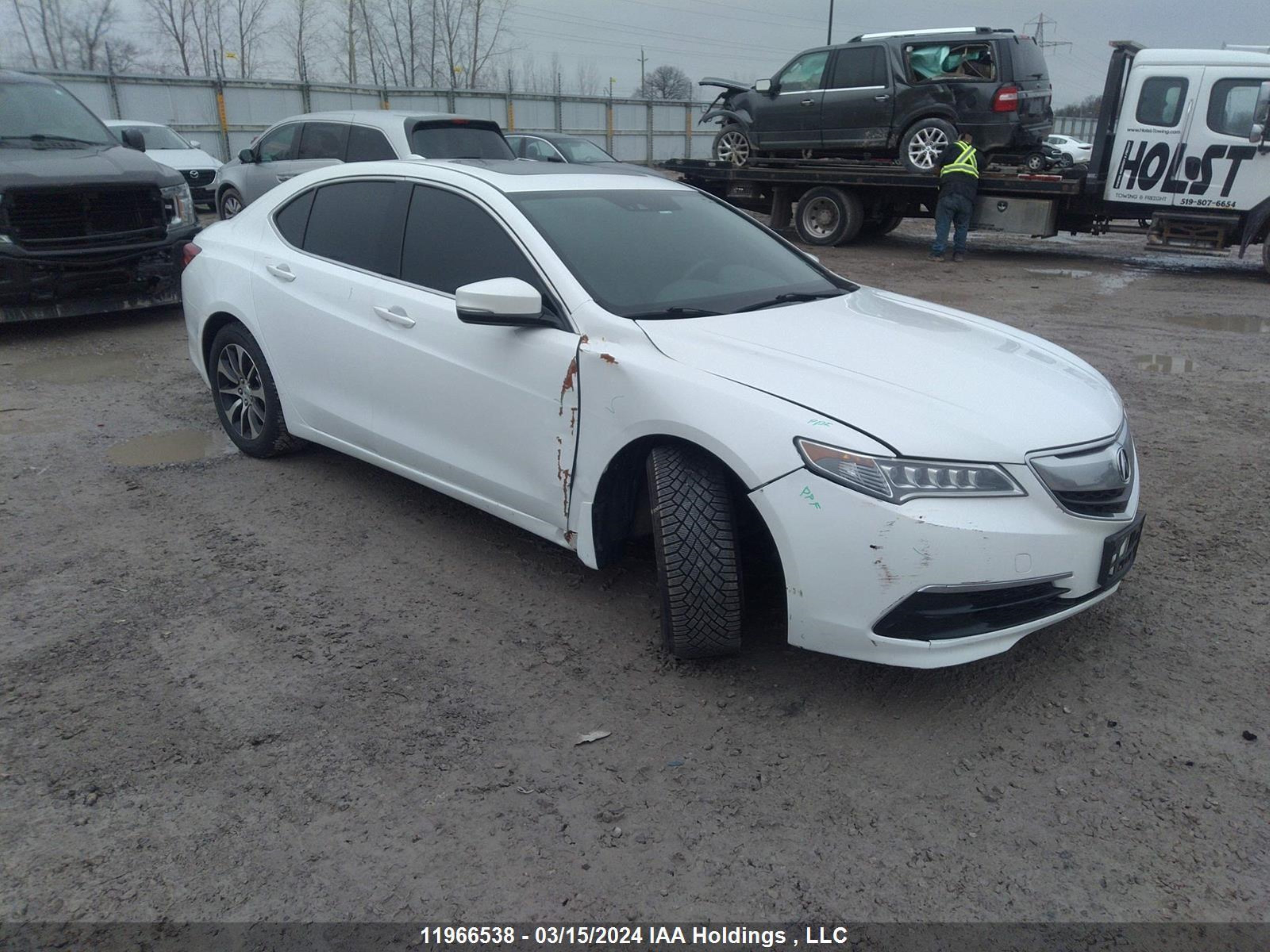 ACURA TLX 2015 19uub1f51fa800153