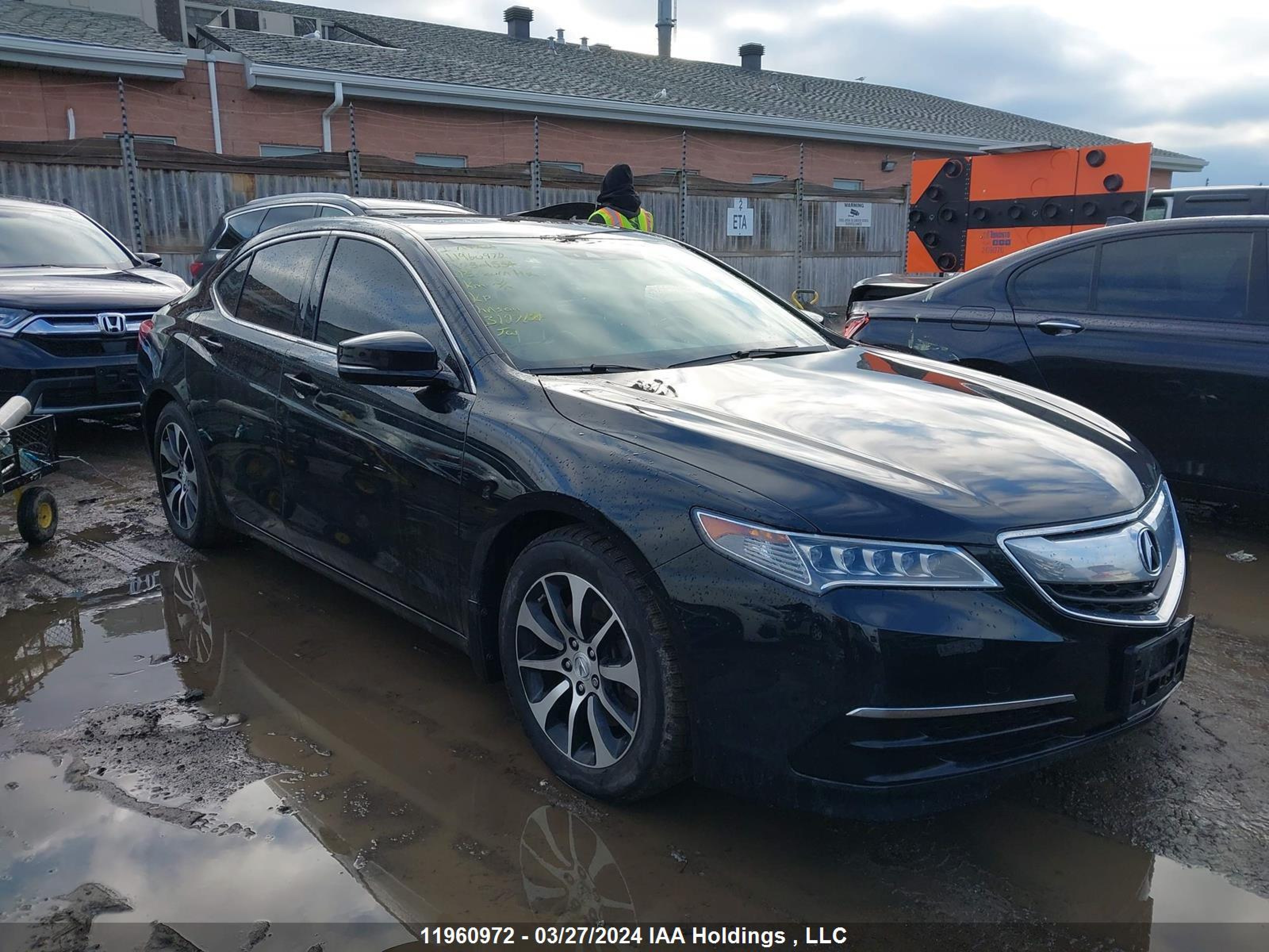 ACURA TLX 2015 19uub1f52fa801554