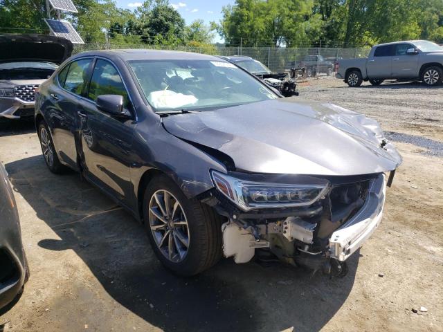 ACURA TLX TECHNO 2019 19uub1f52ka008085