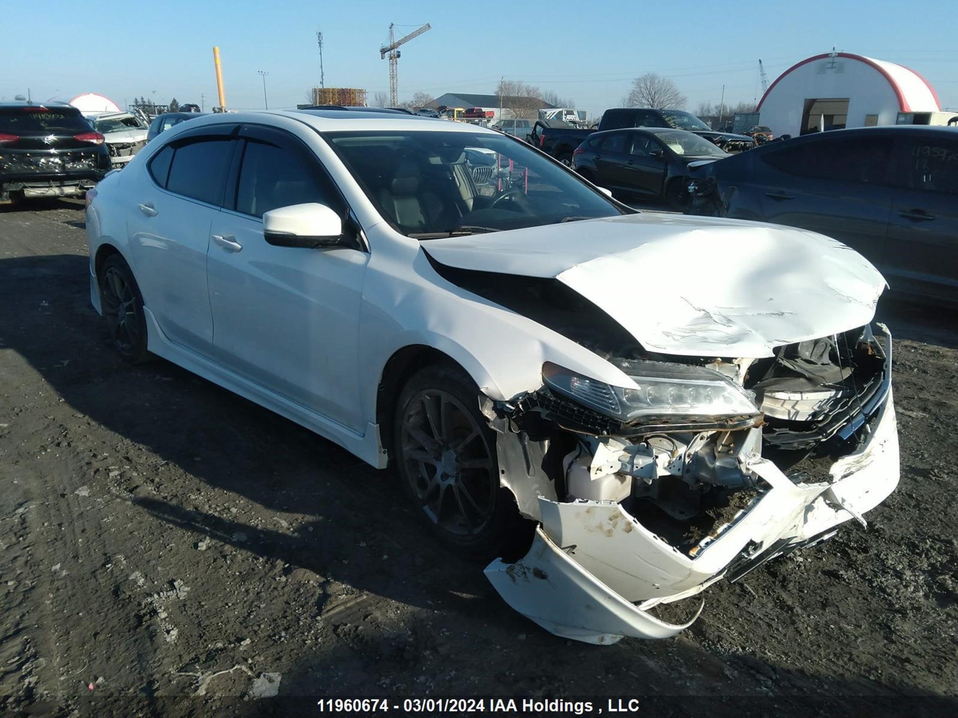 ACURA TLX 2015 19uub1f53fa800137