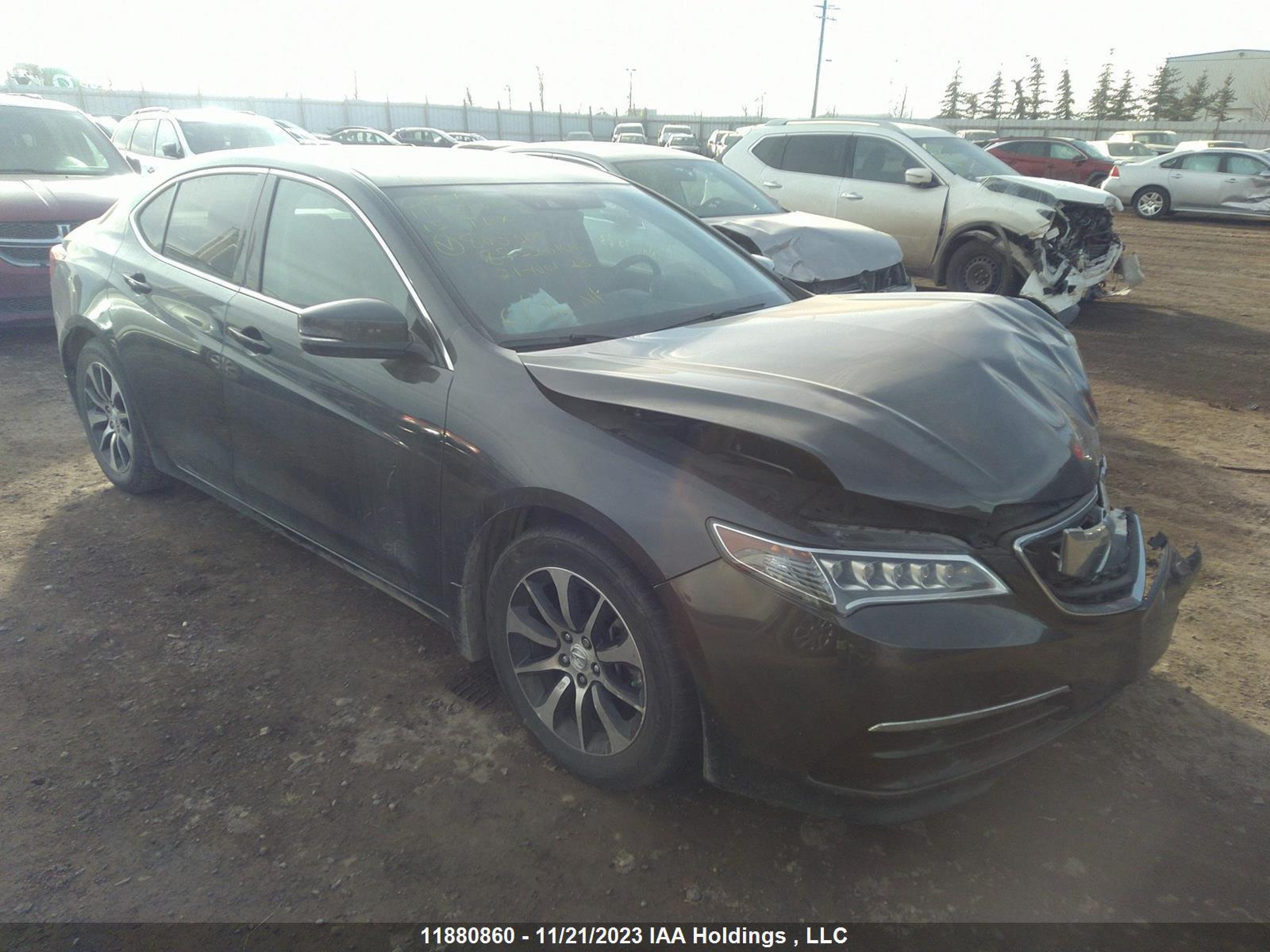 ACURA TLX 2015 19uub1f55fa800317