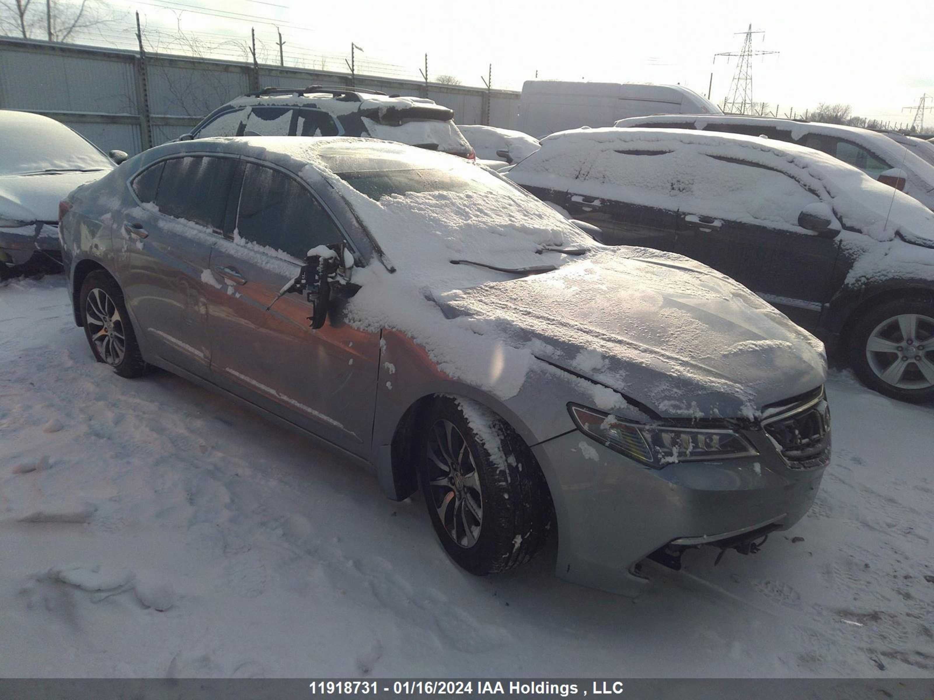 ACURA TLX 2015 19uub1f58fa801848