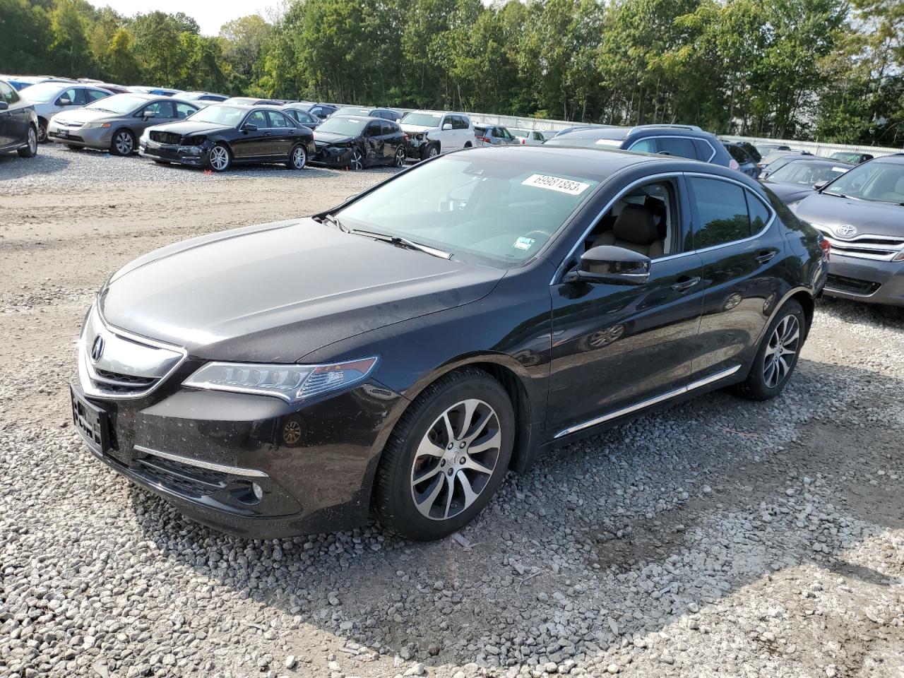 ACURA TLX 2015 19uub1f59fa001849