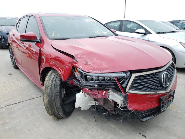 ACURA TLX TECHNO 2019 19uub1f61ka005557