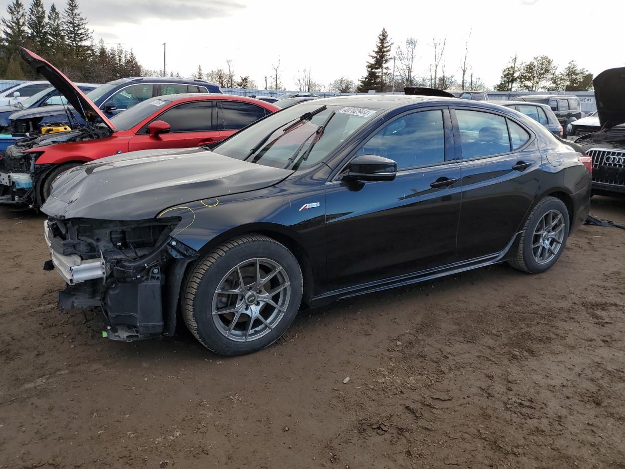 ACURA TLX 2019 19uub1f61ka800396