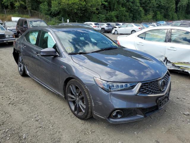 ACURA TLX TECHNO 2019 19uub1f65ka005853