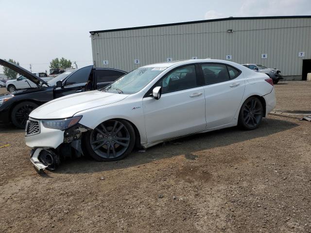 ACURA TLX 2019 19uub1f66ka800538