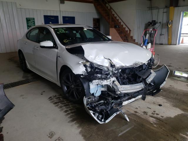 ACURA TLX TECHNO 2019 19uub1f67ka006454