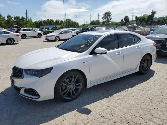 ACURA TLX TECHNO 2019 19uub1f68ka002056