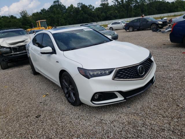 ACURA TLX TECHNO 2019 19uub1f69ka001935