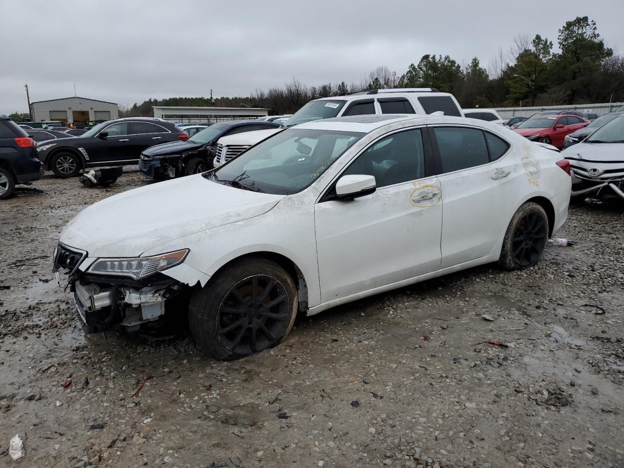 ACURA TLX 2016 19uub2f32ga008745