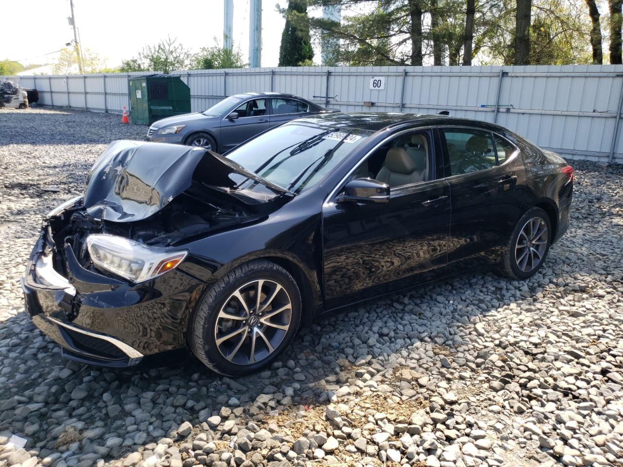 ACURA TLX 2025 19uub2f34ja009404