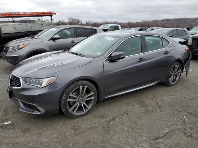 ACURA TLX TECHNO 2019 19uub2f44ka008974