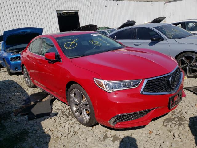 ACURA TLX TECHNO 2019 19uub2f45ka005498