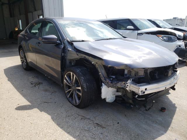 ACURA TLX TECHNO 2019 19uub2f46ka007891