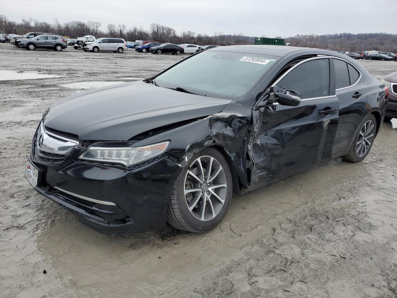 ACURA TLX 2015 19uub2f57fa023578