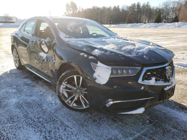 ACURA TLX TECHNO 2019 19uub3f45ka001604