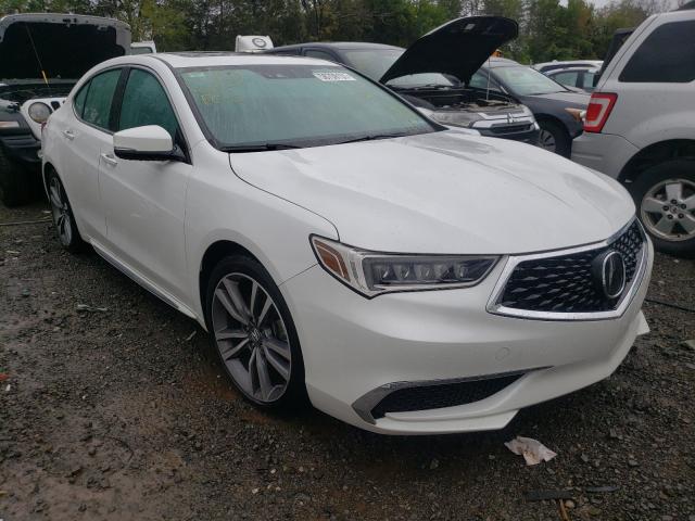 ACURA TLX TECHNO 2020 19uub3f45la003113