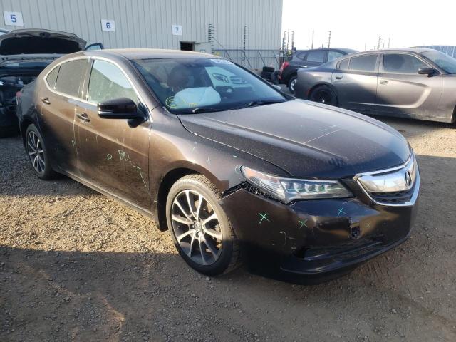 ACURA TLX TECH 2015 19uub3f52fa801761