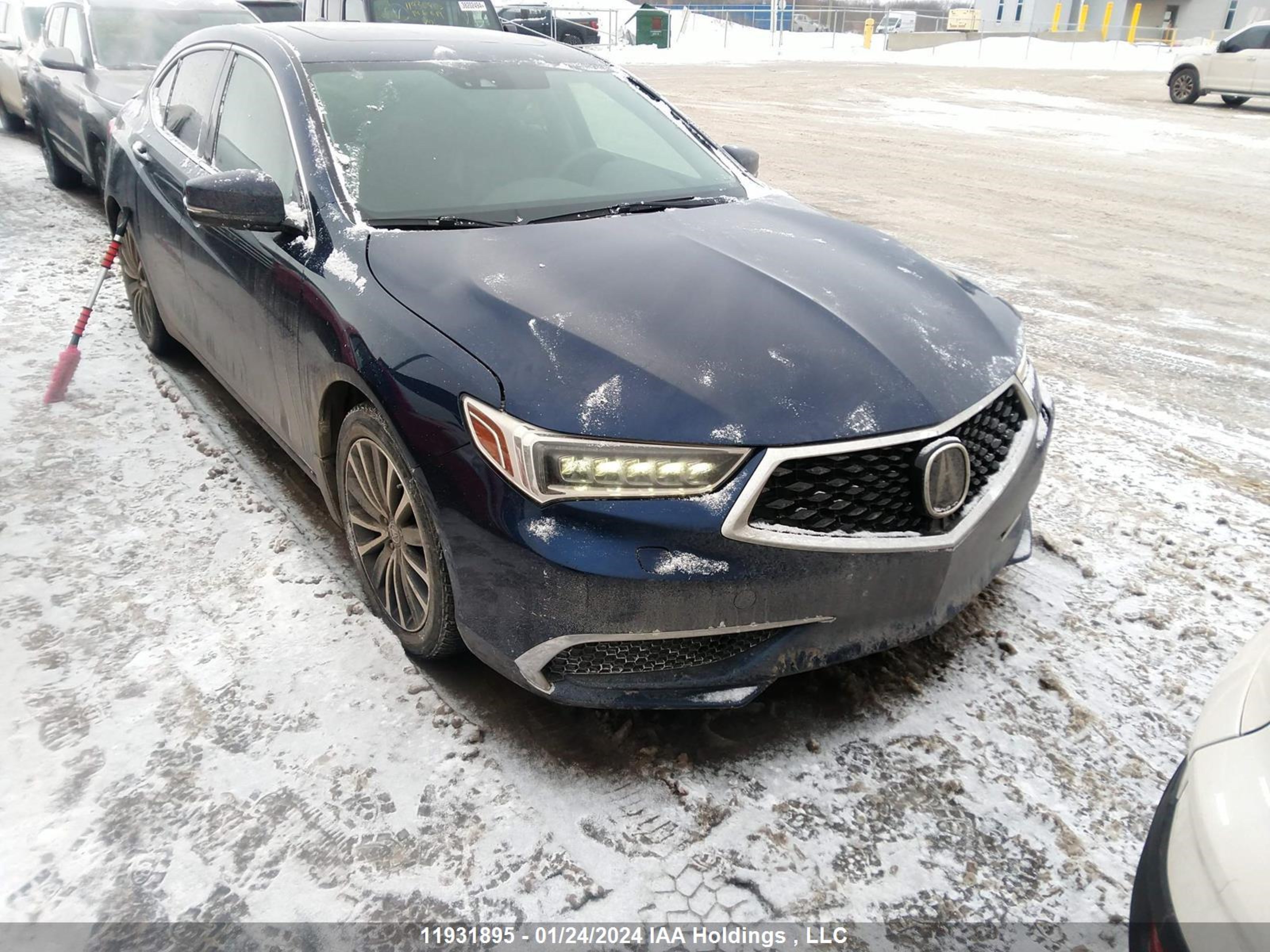 ACURA TLX 2019 19uub3f53ka800547