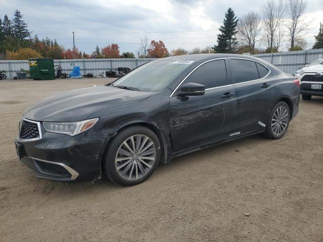 ACURA TLX TECHNO 2019 19uub3f58ka802679