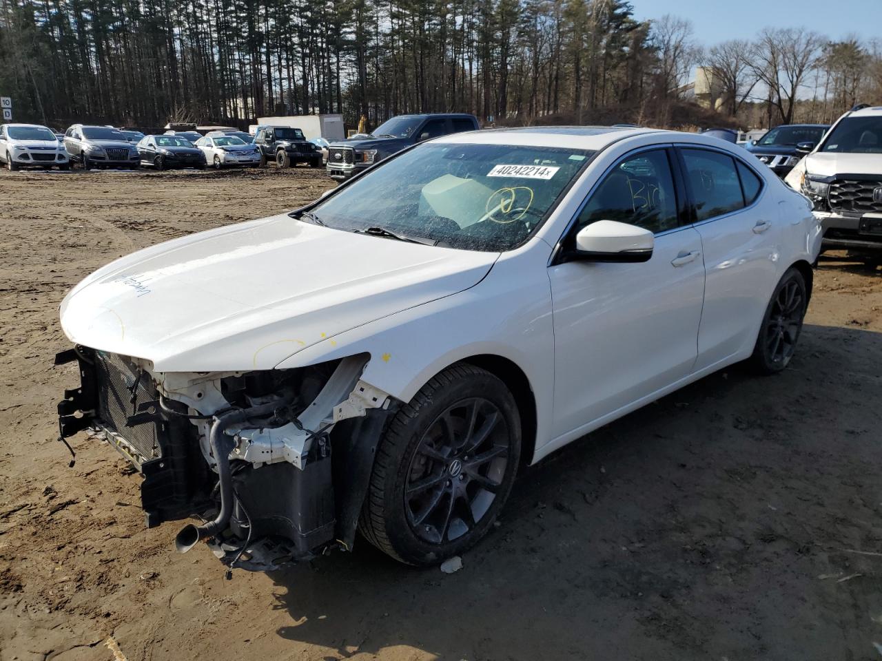 ACURA TLX 2015 19uub3f59fa006559