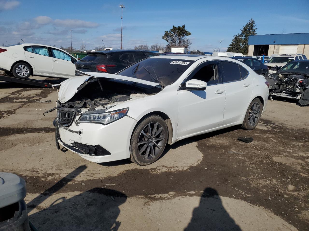 ACURA TLX 2015 19uub3f5xfa005890