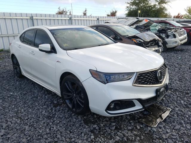 ACURA TLX TECHNO 2019 19uub3f64ka800274