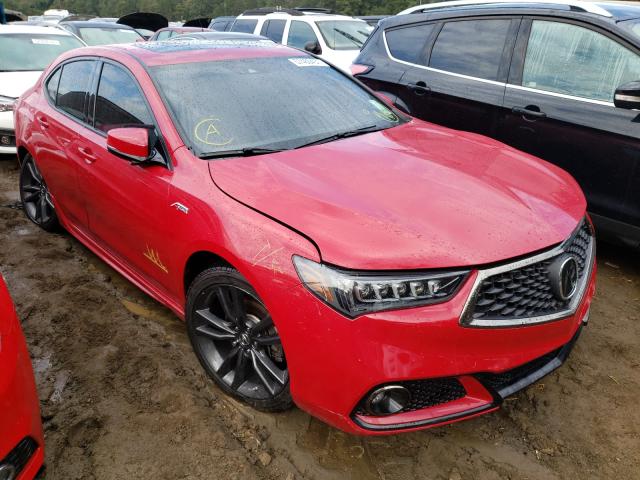 ACURA TLX TECHNO 2019 19uub3f65ka007050