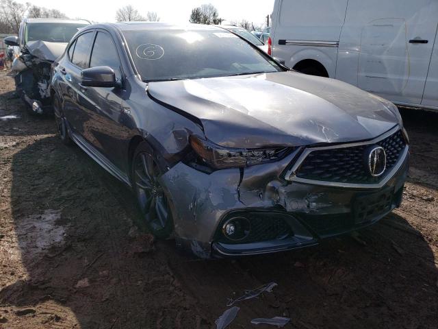 ACURA TLX TECHNO 2019 19uub3f66ka001192