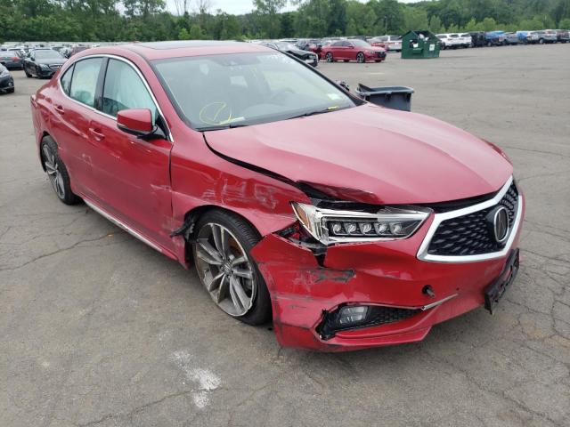 ACURA TLX ADVANC 2019 19uub3f81ka000730