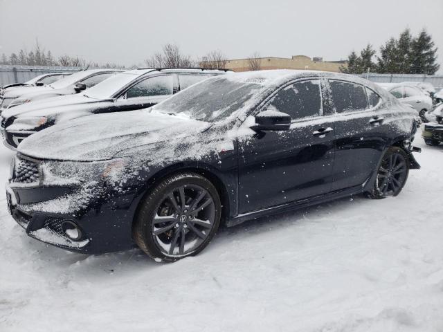 ACURA TLX ADVANC 2019 19uub3f88ka802515