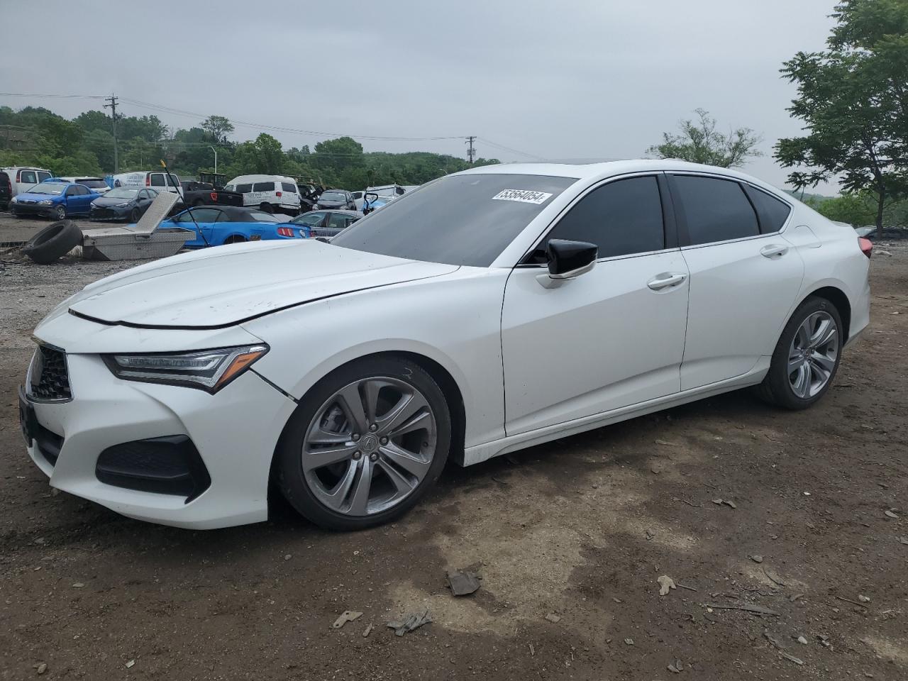 ACURA TLX 2021 19uub5f40ma000715