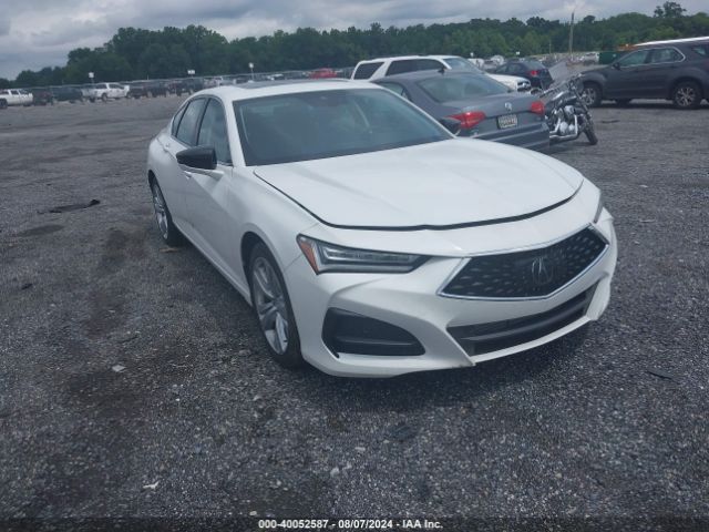 ACURA TLX 2023 19uub5f4xpa005151