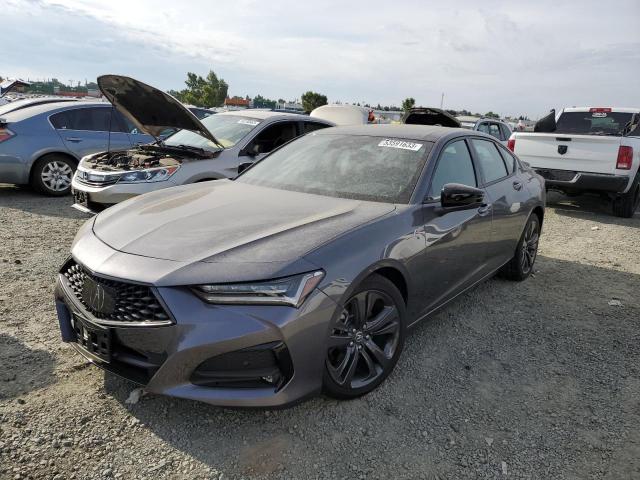 ACURA TLX TECH A 2022 19uub5f51na003925