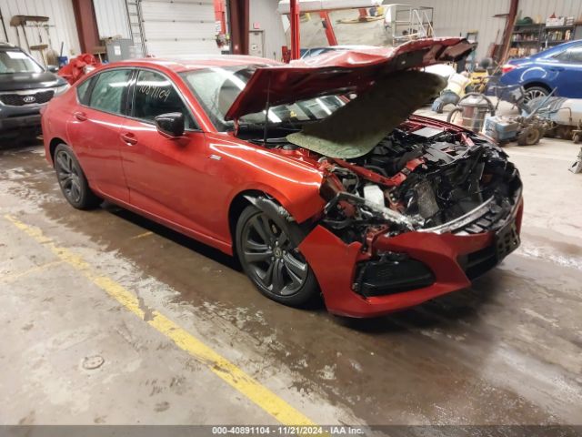 ACURA TLX 2023 19uub5f54pa002660