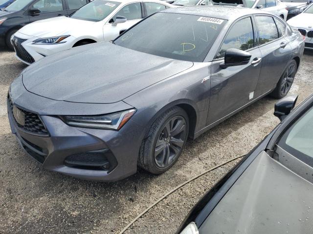 ACURA TLX TECH A 2023 19uub5f59pa000452