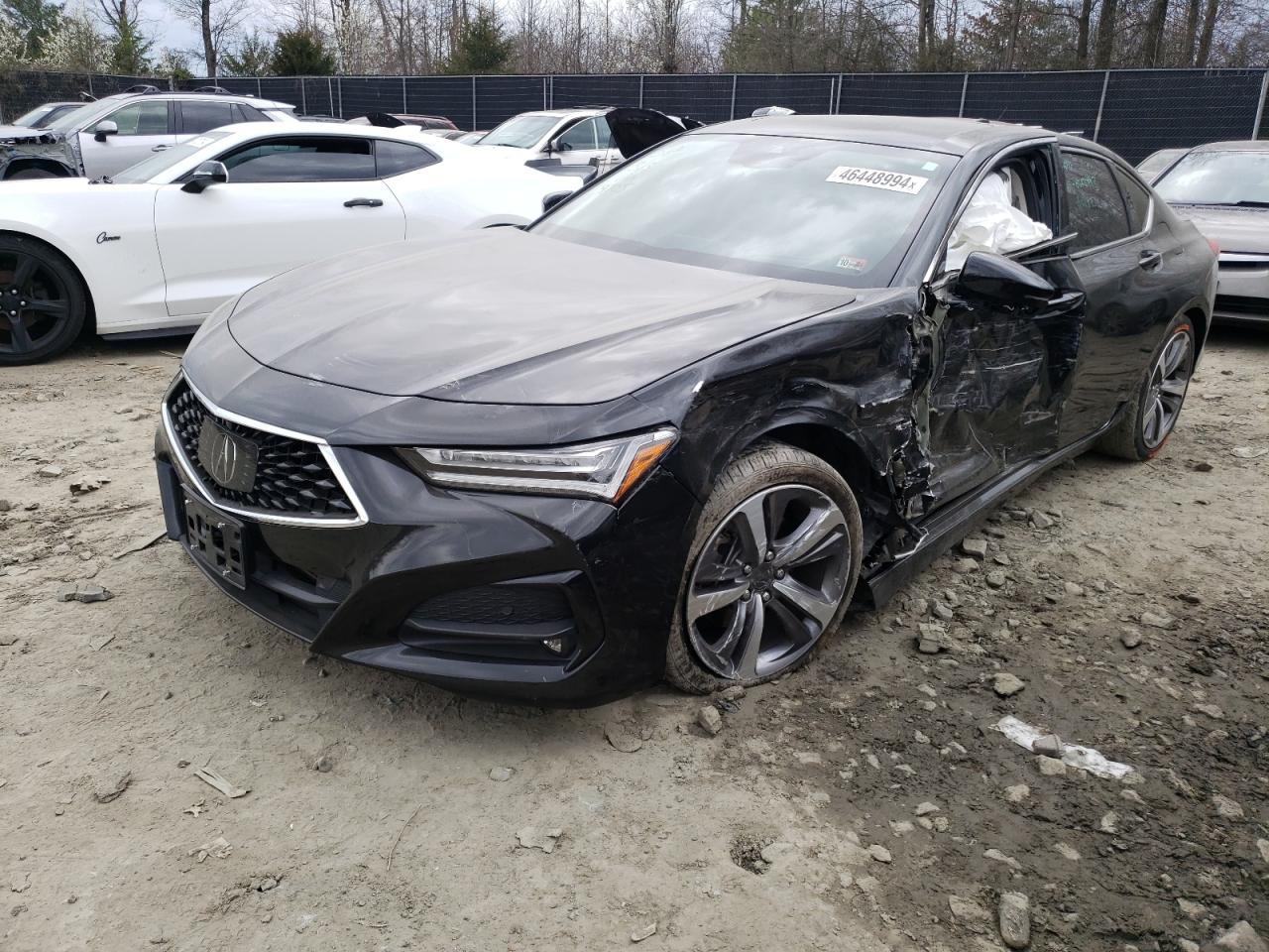 ACURA TLX 2021 19uub5f67ma009705