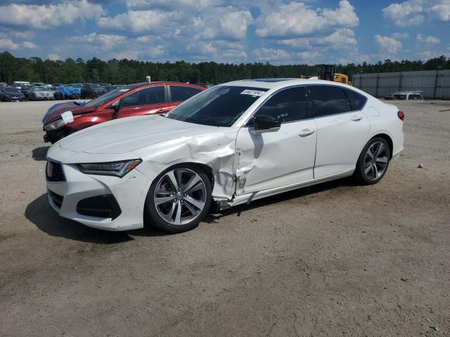 ACURA TLX 2021 19uub5f69ma013724