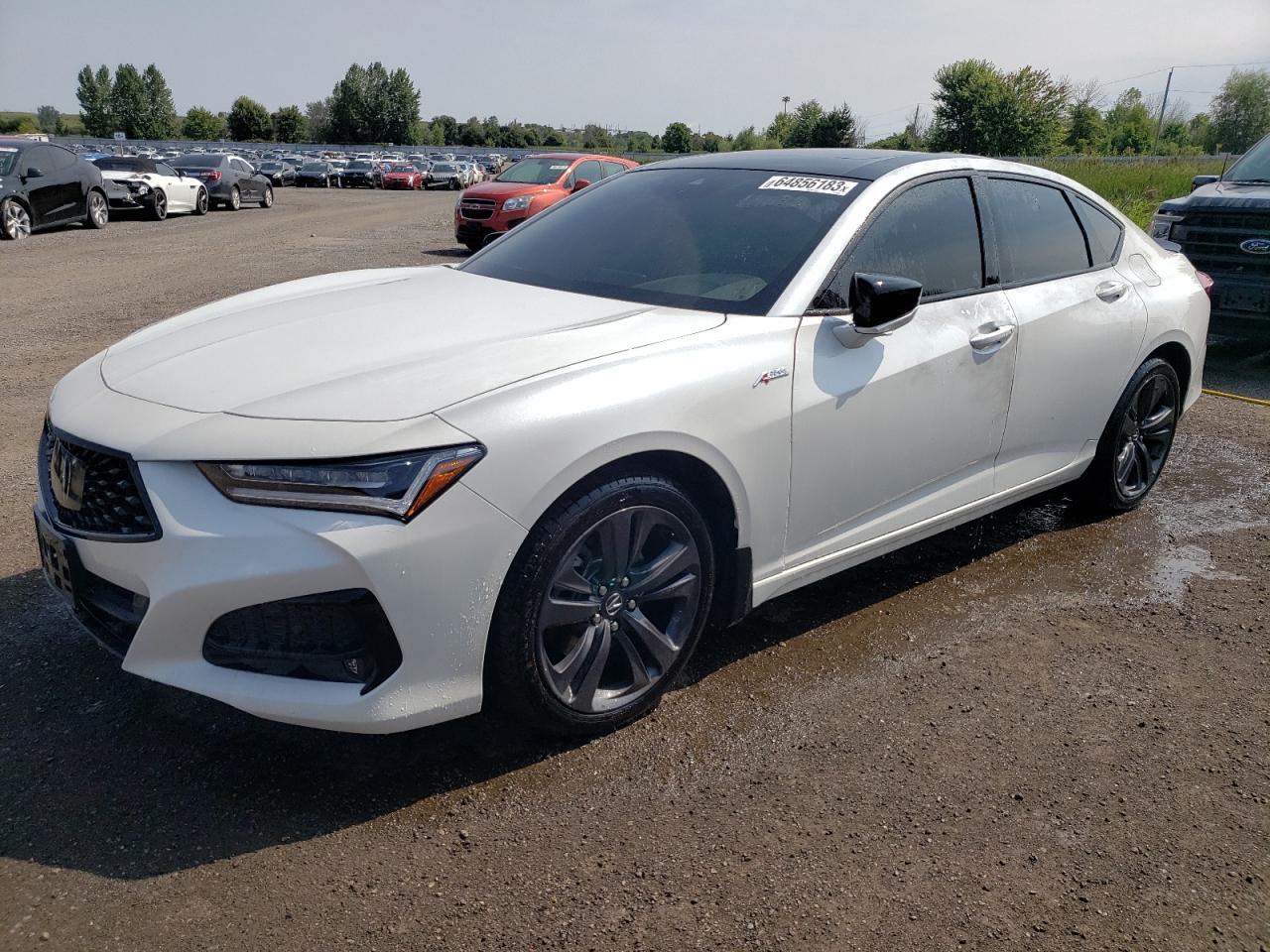 ACURA TLX 2022 19uub6f51na800830