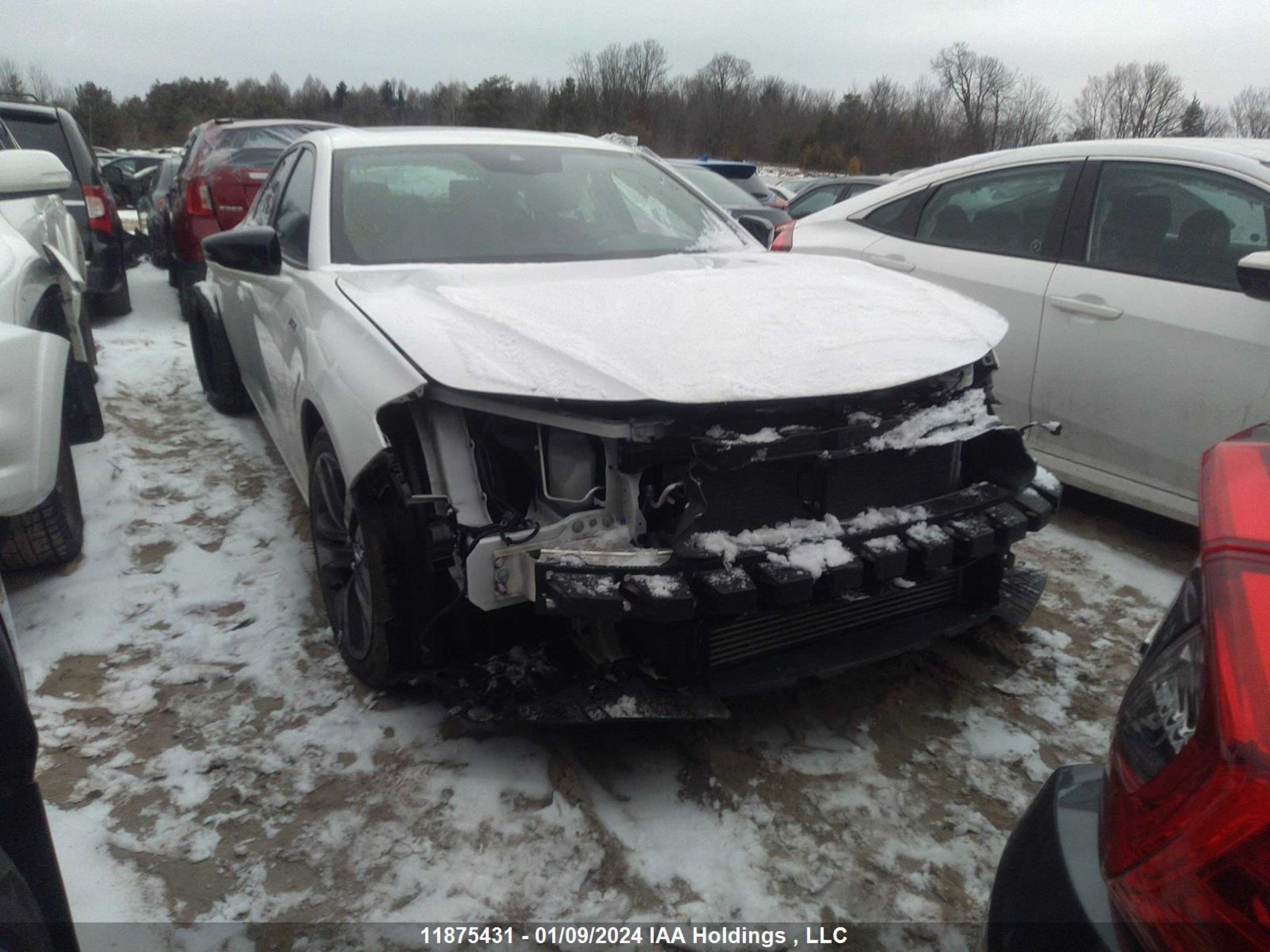 ACURA TLX 2021 19uub6f53ma801783