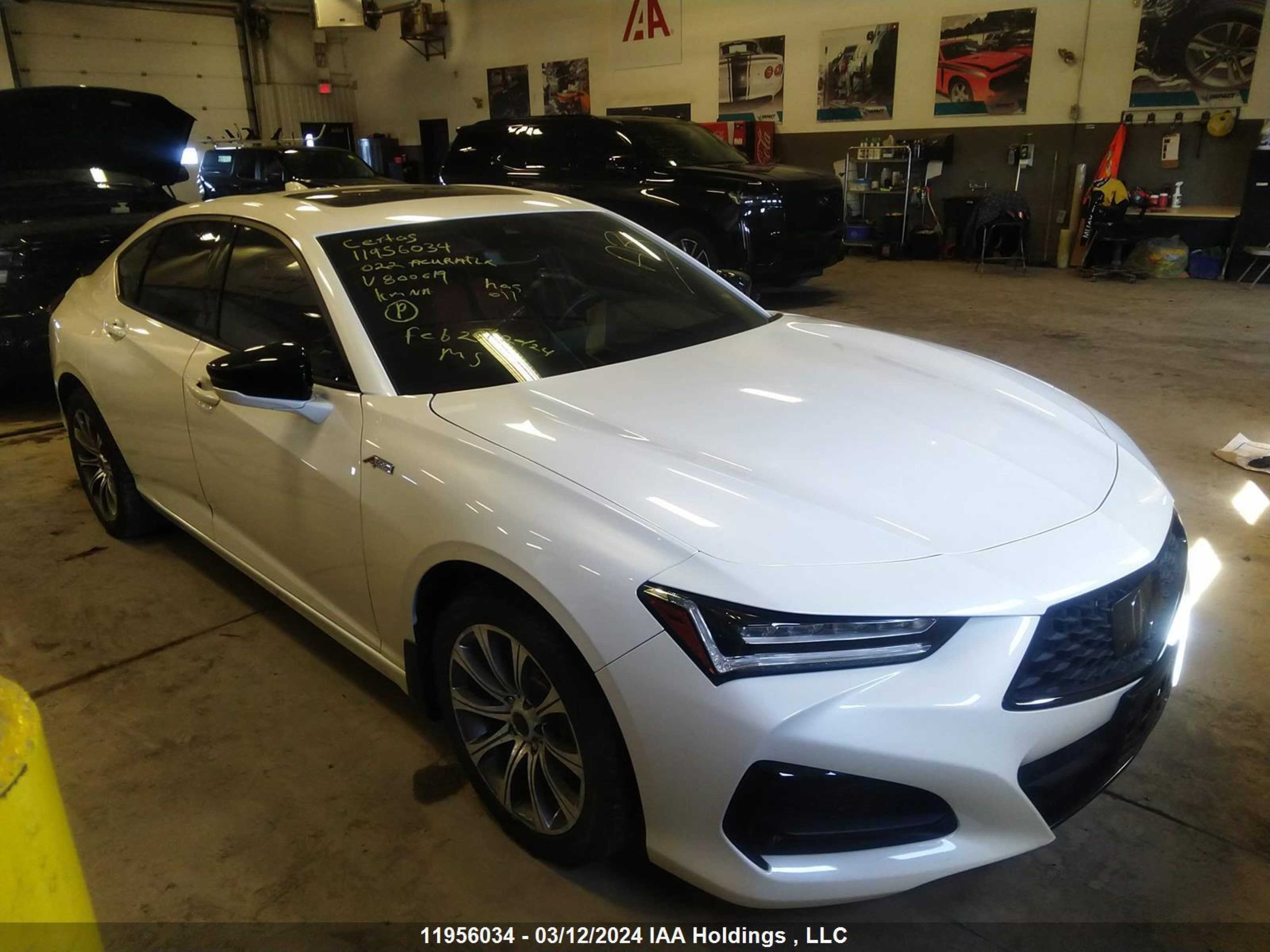 ACURA TLX 2022 19uub6f55na800619