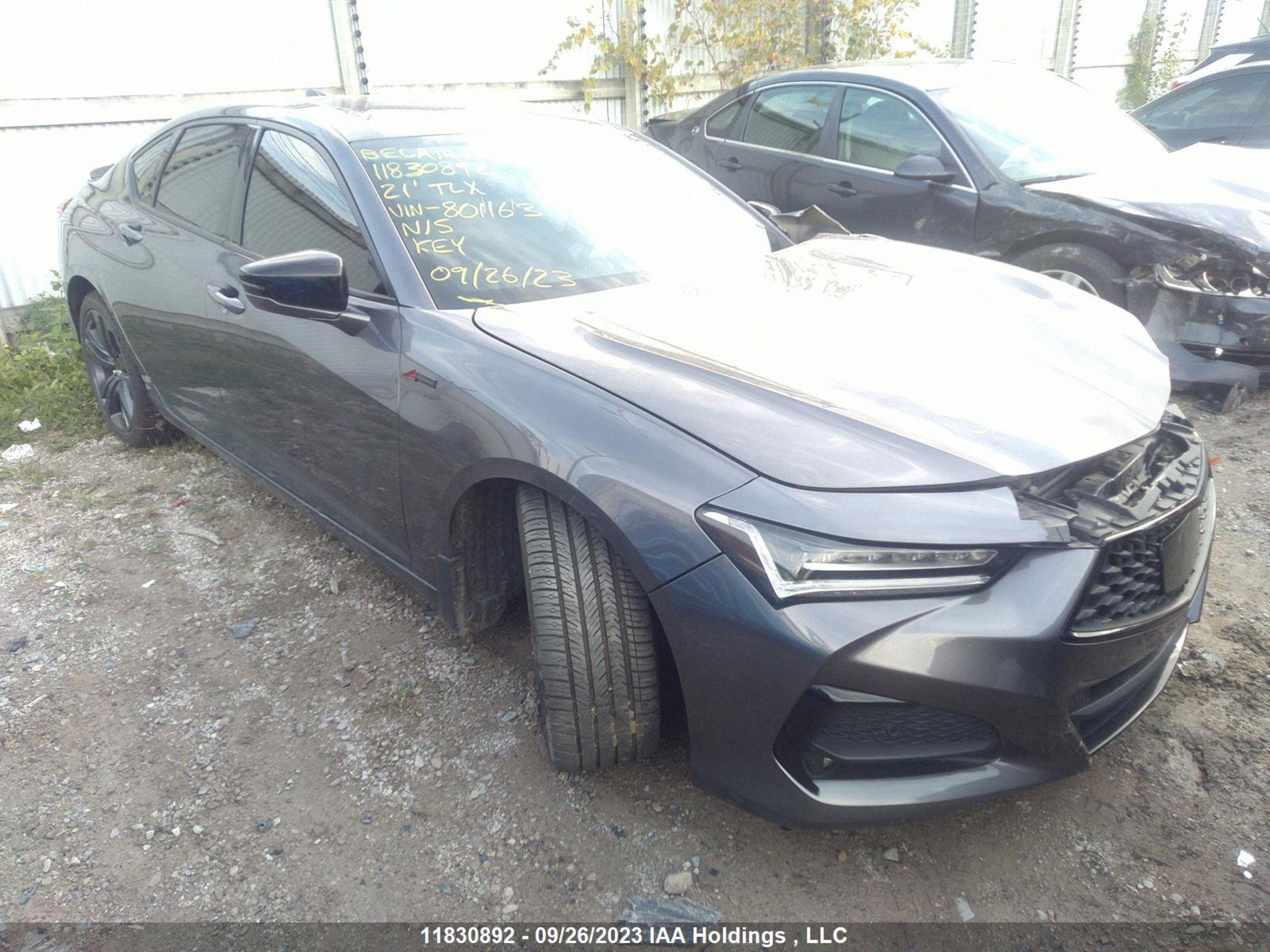 ACURA TLX 2021 19uub6f56ma801163