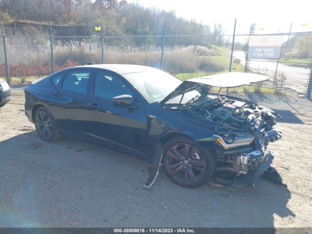 ACURA TLX 2023 19uub6f59pa002000